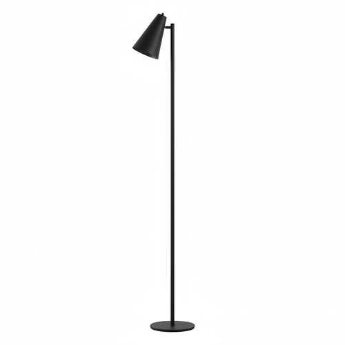 Matte Black Minimalist Floor Lamp